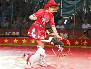 One of the many entertaining acts at the circus