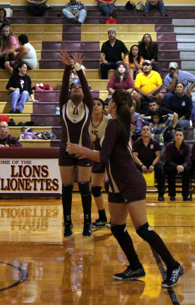 Connie Ceballos sets up the ball for a spike. 