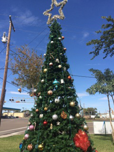 Even during the day the City’s Christmas tree, which was lit in an annual public event on Nov. 13th, is a lovely reminder of this holiday season.