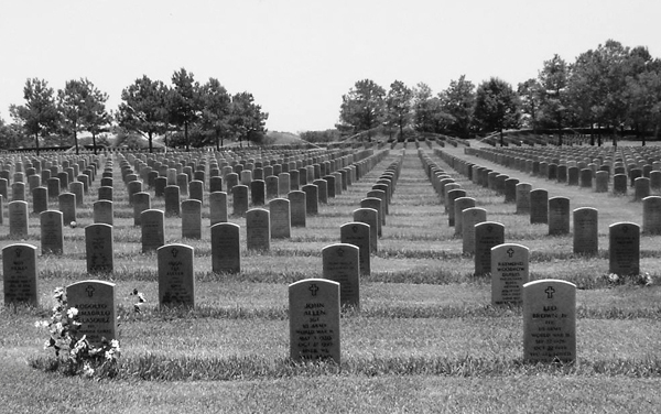 About 500 Texas veterans commit suicide each year, with the national figure around 8,000. Photo: Patrick Feller/Flickr.