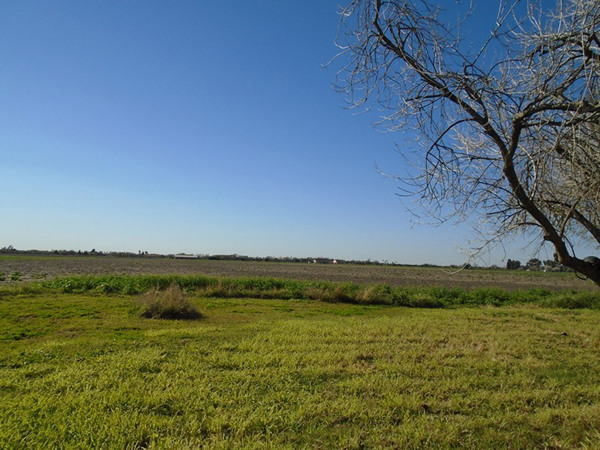 Nothing remains of Nathaniel White’s ranch or legacy today except the name of the road where his ranch once stood and his name on the historical marker for La Feria. Nathaniel White passed away in 1901.