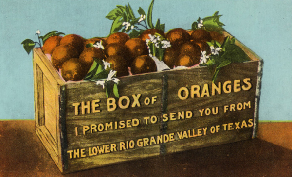 Box of Oranges, from the Lower Rio Grande Valley, Texas (postcard, c. 1912-1924)