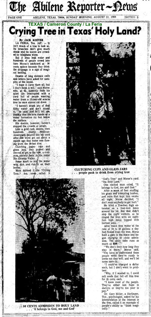The tree gained so much notoriety, the story broke in several regional, state and national outlets, including the front page of the August 23, 1966 edition of The Abilene Reporter-News.