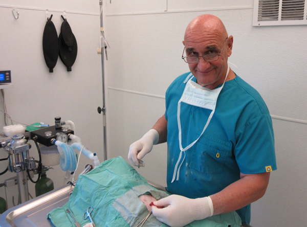 John G. Montalbano, DVM, regularly performs surgery.