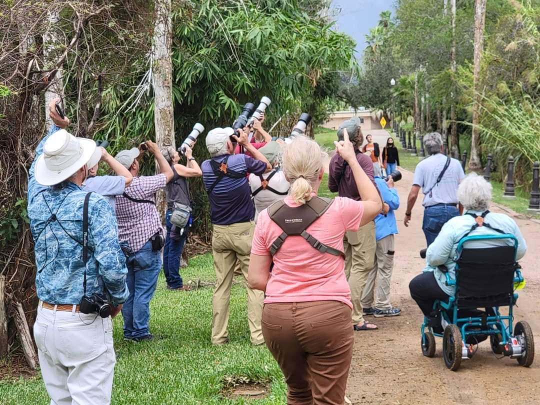 Rio Grande Valley Birding Festival La Feria News