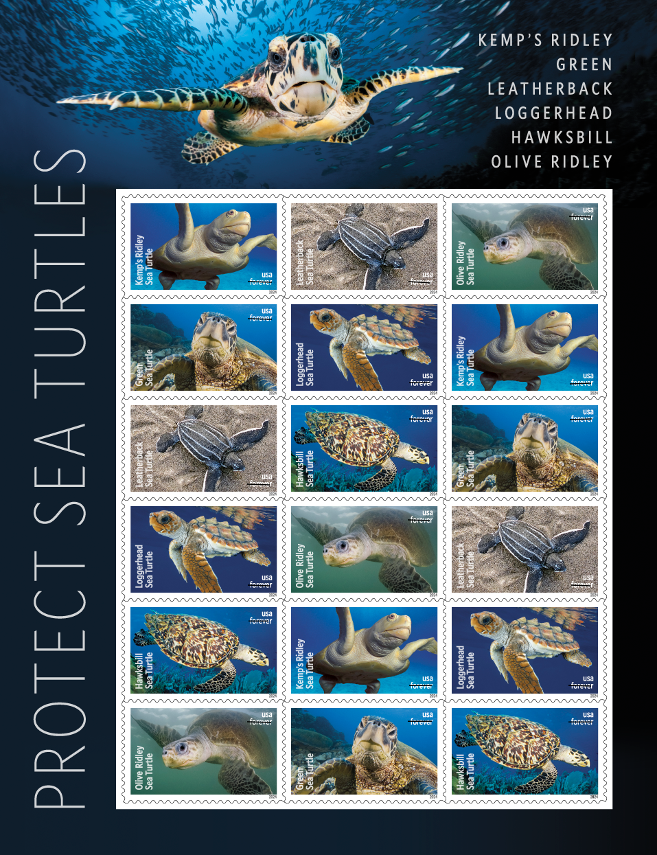 Sea Turtles Ride A Wave Onto New Stamps La Feria News   Protect The Sea Turtles 